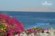 Отель Savoy Sharm El Sheikh 5*, Шарм Эль Шейх - фото 25