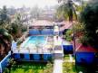 Отель Mayflower Beach Resort 3*, ГОА северный - фото 7