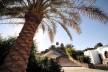 Отель Domina Coral Bay Oasis Hotel & Resort 5*, Шарм Эль Шейх - фото 7