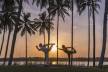 Отель Shangri-La's Hambantota Resort & Spa 5* *,  - фото 2