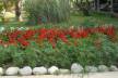 Отель Sunshine Mir Hotel 3*, Кемер - фото 3