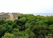 Отель Royal Hideaway Ensenachos (ex.Iberostar Ensenachos) 5*, Кайо Санта Мария - фото 3