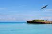 Отель Occidental Allegro Varadero 4*, Варадеро - фото 26