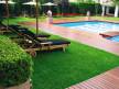 Отель Alva Park Resort & Spa 5*,  - фото 5