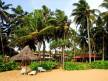 Отель Sanmali Beach Hotel 2*, Маравила - фото 4