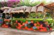 Отель Elysees Dream Beach Hotel 4*, Хургада - фото 8