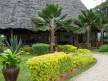 Отель Double Tree By Hilton Resort Zanzibar *,  - фото 33