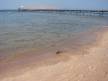 Отель Rehana Royal Beach Resort, Aqua Park & SPA 5*, Шарм Эль Шейх - фото 5