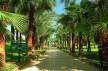 Отель Majesty Mirage Park Resort 5*, Кемер - фото 3