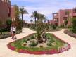 Отель Rehana Sharm Resort 4*, Шарм Эль Шейх - фото 8