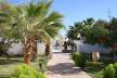 Отель Poinciana Sharm Resort  4*, Шарм Эль Шейх - фото 6