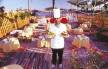 Отель Queen Sharm Resort (ex. Turquoise Beach Hotel) 3*, Шарм Эль Шейх - фото 16