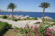 Отель Coral Beach Resort Tiran 4*, Шарм Эль Шейх - фото 4
