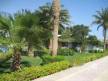 Отель Shams Safaga Resort 4*, Сафага - фото 25