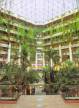 Отель Paradisus Cancun (Ex. Gran Melia Cancun) 5*, Канкун - фото 3