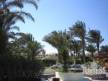 Отель Palm Beach Resort 4*, Хургада - фото 28