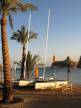 Отель Sentido Palm Royale Soma Bay 5*, Сома Бей - фото 15