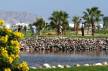Отель Jolie Ville Golf & Resort 5*, Шарм Эль Шейх - фото 3