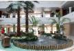 Отель Fujairah Rotana Resort & Spa - Al Aqah Beach 5*, Фуджейра - фото 9