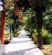 Отель Seher Resort & Spa 5*, Сиде - фото 2
