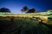 Отель Coral Beach Resort Tiran 4*, Шарм Эль Шейх - фото 7