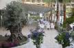 Отель Port Side Resort Hotel 5*, Сиде - фото 25