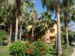 Отель Armas Green Fugla Beach Hotel 4*,  - фото 9