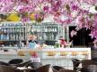 Отель Barut B Suites ( EX. Family Life Side by Barut Hotels) 5*,  - фото 115