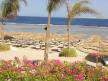 Отель Cleopatra Luxury Resort Sharm El Sheikh 5*, Шарм Эль Шейх - фото 3