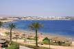 Отель Coral Beach Resort Tiran 4*, Шарм Эль Шейх - фото 12