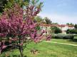 Отель Ai Pini Resort 2*, Медулин - фото 12