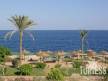 Отель Renaissance Sharm El Seikh Golden View Beach Resort 5*, Шарм Эль Шейх - фото 12