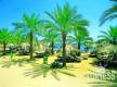 Отель Dessole Seti Sharm Resort (закрыт) 4*, Шарм Эль Шейх - фото 13