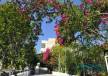 Отель Aeolos Apartments 1*, Греция, Лутраки 3*,  - фото 2