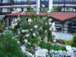 Отель Sunrise All Suites Resort 3*, Обзор - фото 4