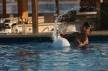Отель Concorde El Salam Hotel Sharm El Sheikh 5*, Шарм Эль Шейх - фото 14