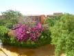 Отель Golden Beach Resort 4*, Хургада - фото 3