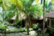 Отель Somatheeram Ayurveda Resort Kovalam 3*, Керала - фото 11