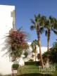 Отель Riviera Plaza Abu Soma 4*, Сафага - фото 35