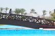 Отель Sharm Grand Plaza Resort 5*, Шарм Эль Шейх - фото 38