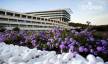 Отель Radisson Blu Dubrovnik 5*,  - фото 4