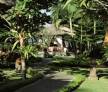 Отель Sol Beach House Benoa (Ex Melia Benoa) 4*, Танджунг Беноа - фото 17