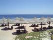 Отель Albatros Palace Sharm 5*, Шарм Эль Шейх - фото 10