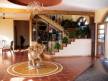 Отель Nanu Resort 3*, ГОА южный - фото 10