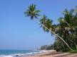 Отель Royal Beach Resort 3*, Индурува - фото 18
