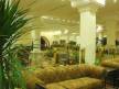 Отель Pyramisa Sahl Hasheesh Beach Resort 5*, Хургада - фото 17