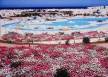 Отель Pharaoh Azur Resort 5*, Хургада - фото 25