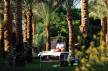 Отель Sentido Reef Oasis Senses Aqua Park Resort  5*, Шарм Эль Шейх - фото 19