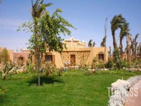 Отель Nubian Island 5*, Шарм Эль Шейх - фото 33