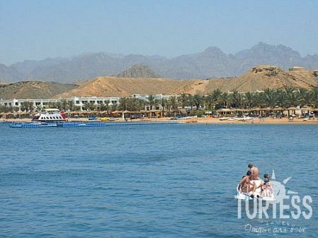 Dessole Seti Sharm Resort (закрыт) 4* - смотреть фото 11 Отель Dessole Seti Sharm Resort (закрыт) 4*, Шарм Эль Шейх - фото 11